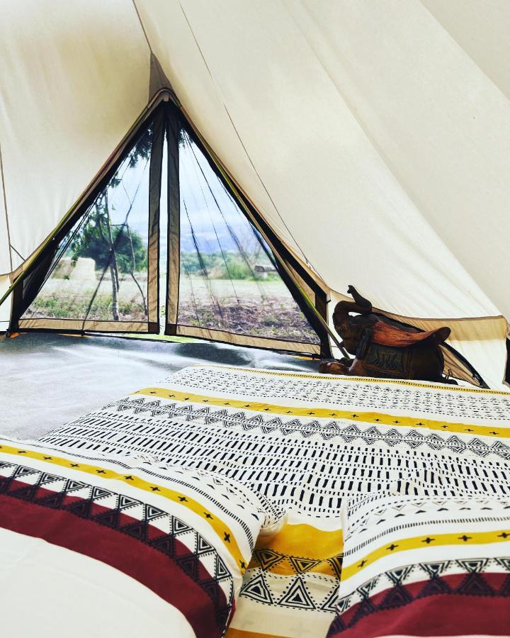 Les Petites Bulles De Massier Hotel Виен Екстериор снимка